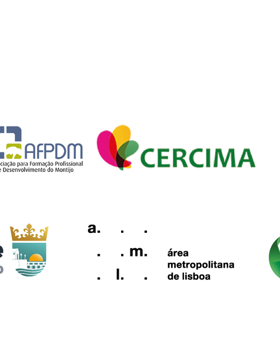 Operação Integrada Local Alcochete, Bairro do Passil