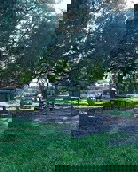 Arborização do Sítio das Hortas e Pinhal das Areias