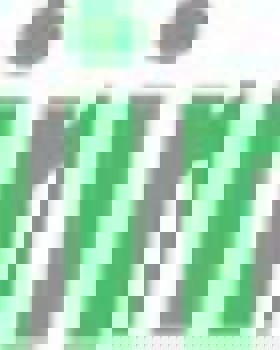 Radar Social – Criação de Equipas para Projeto Piloto