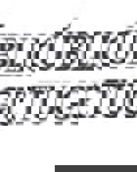 Projeto PRR n.º 7850 - Acessibilidades 360º - Município de Alcochete – Intervenção na Rua Virgílio Martinho – Investimento RE-C03-i02