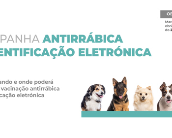 Campanha de vacinação antirrábica arranca a 15 de junho 