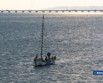 Alcochete recebeu a CLXXXI Real Regata de Canoas do Tejo 