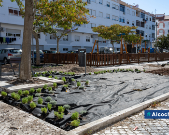 Obras de requalificação em curso na Quinta da Caixeira 
