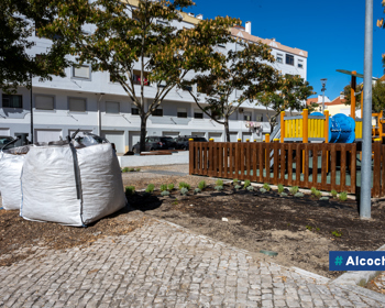 Obras de requalificação em curso na Quinta da Caixeira 