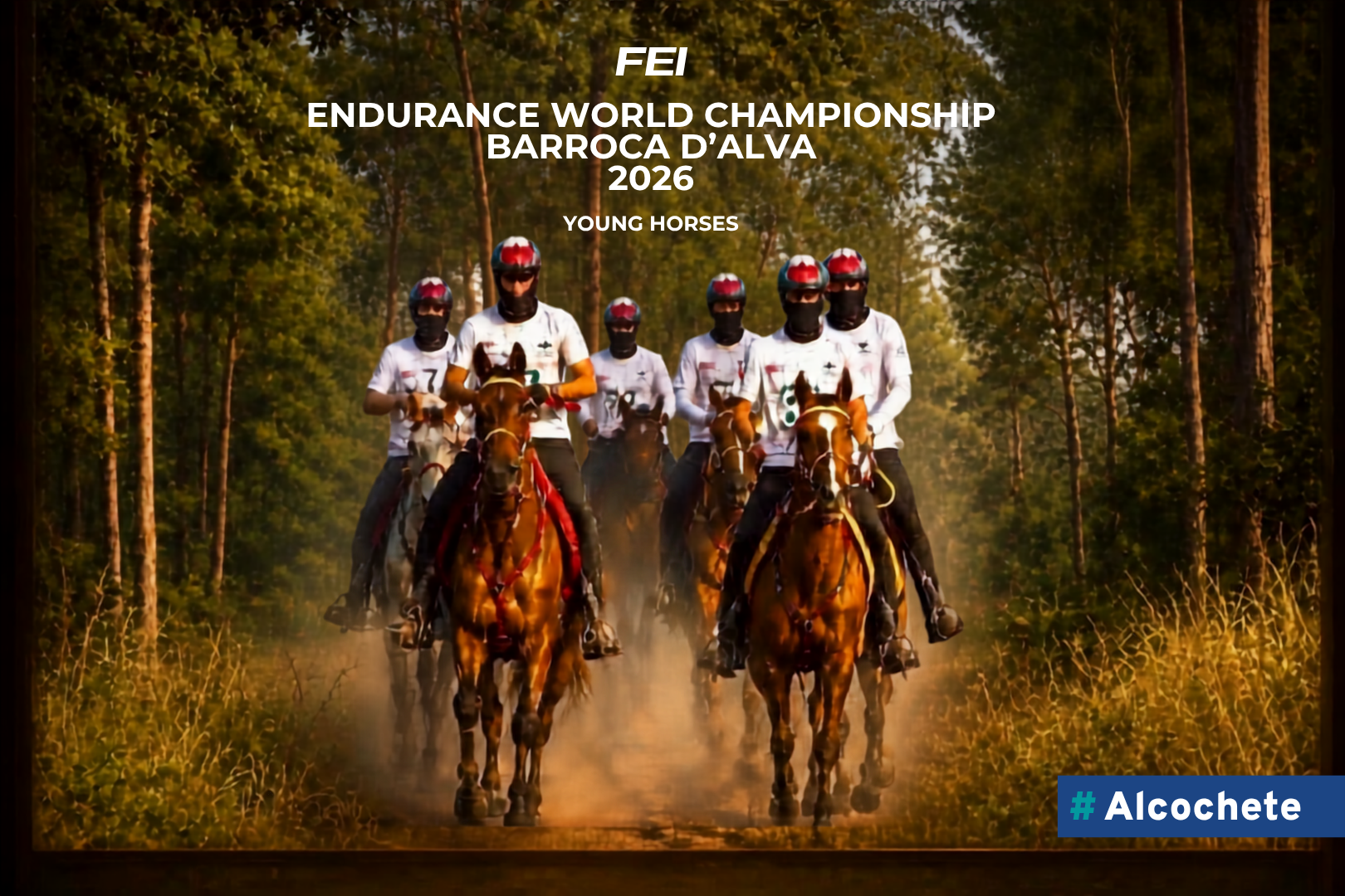 Alcochete recebe Campeonato Internacional Equestre 