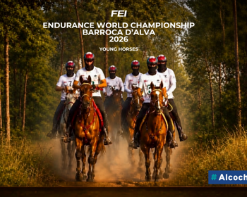 Alcochete recebe Campeonato Internacional Equestre 