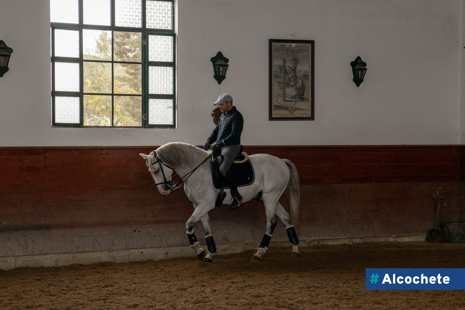 Gilberto Filipe em destaque no Campeonato do Mundo de Equitação de Trabalho 