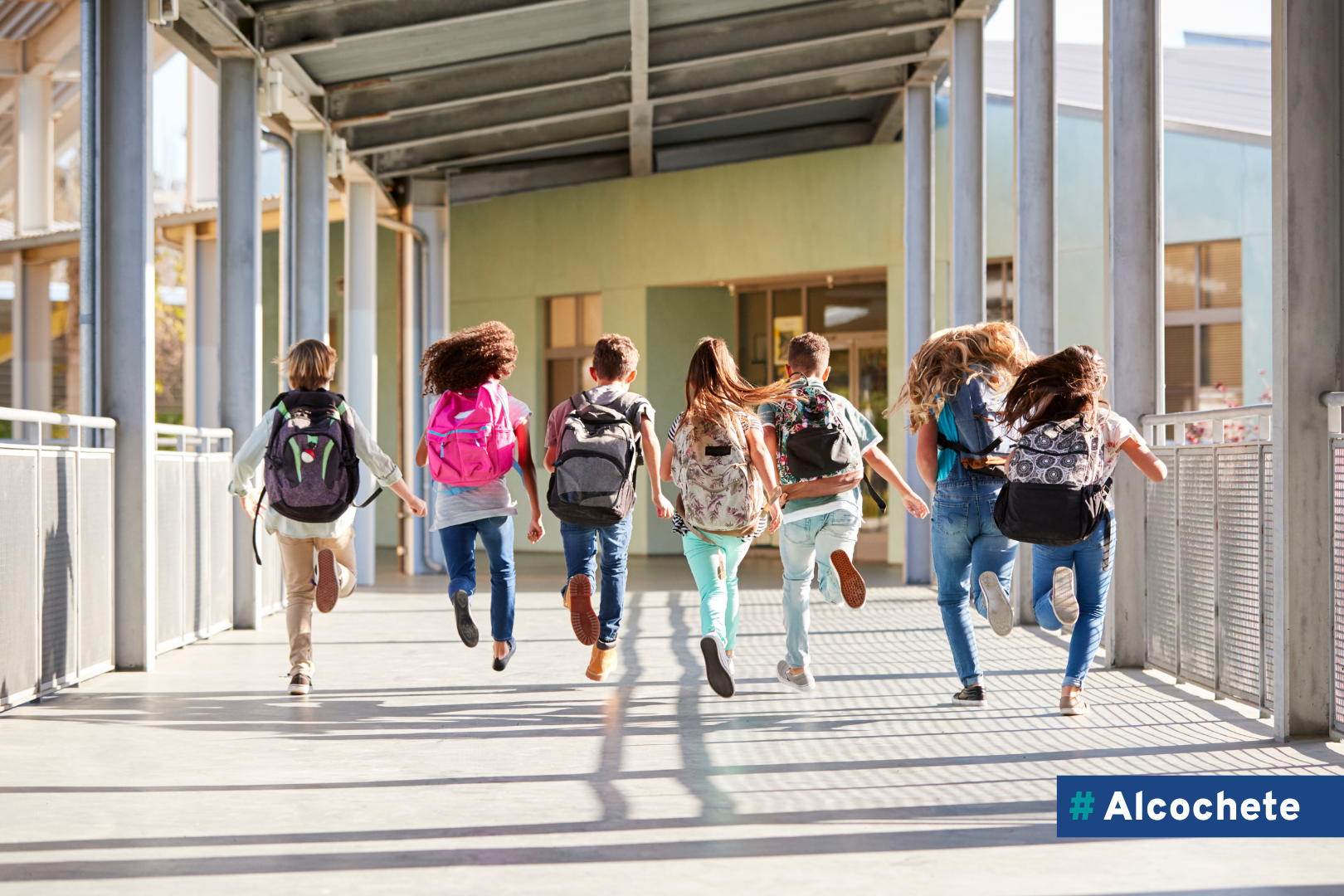 Câmara Municipal aprova apoios para 370 alunos