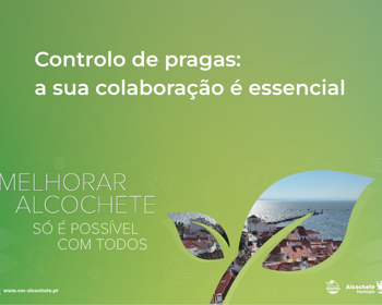 Controlo de pragas: a sua colaboração é essencial 