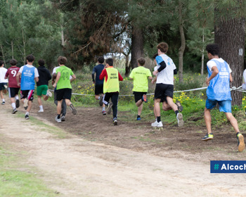 Alunos do AEA destacam-se no Corta-Mato do Desporto Escolar 