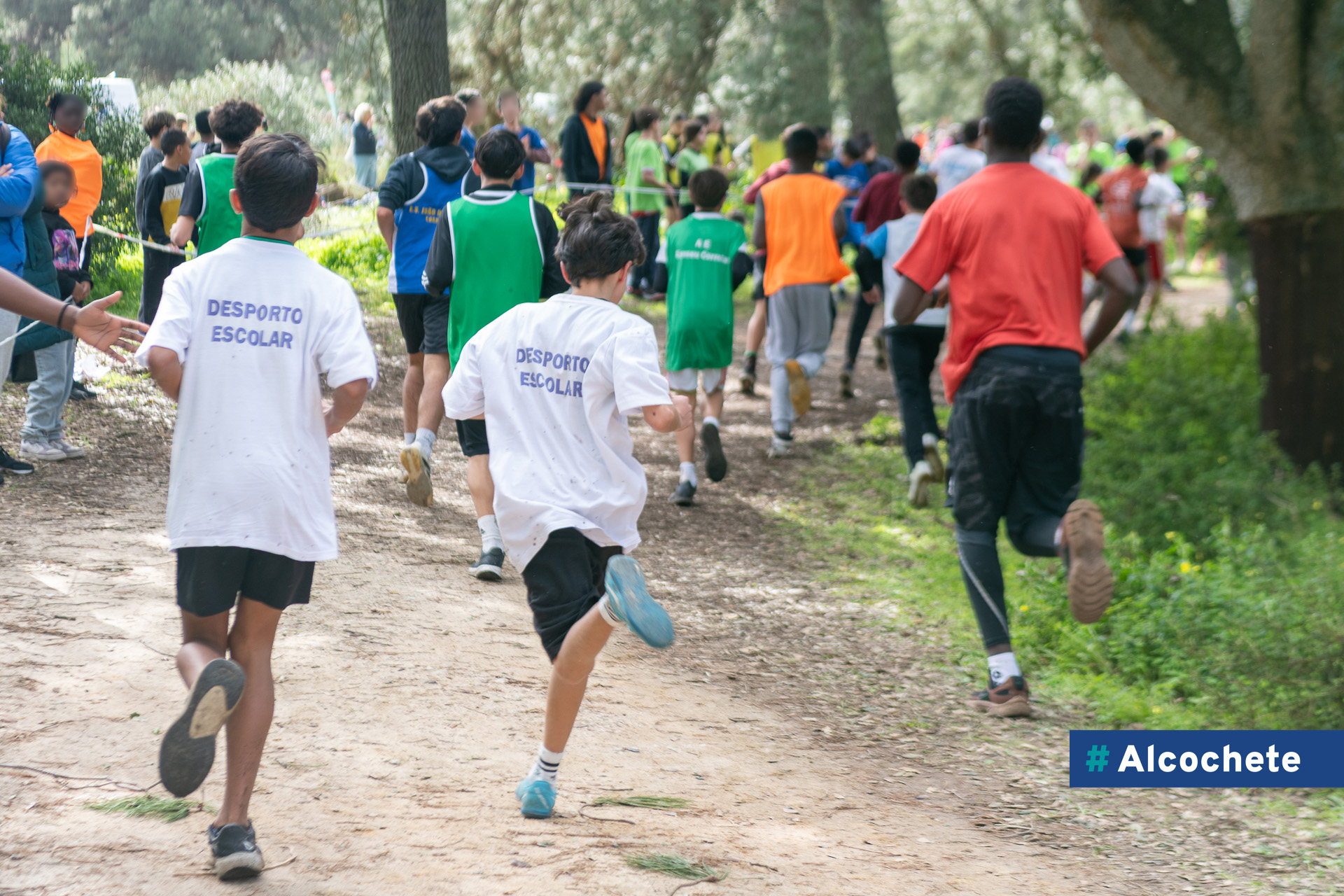 Alunos do AEA destacam-se no Corta-Mato do Desporto Escolar 