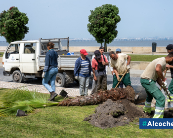 Município aposta na renovação do Jardim do Rossio 