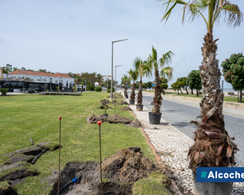 Município aposta na renovação do Jardim do Rossio 