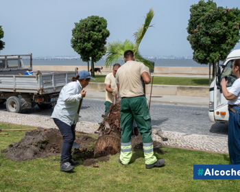 Município aposta na renovação do Jardim do Rossio 