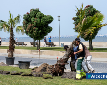 Município aposta na renovação do Jardim do Rossio 