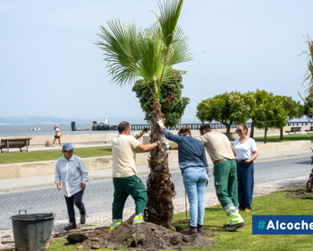 Município aposta na renovação do Jardim do Rossio 