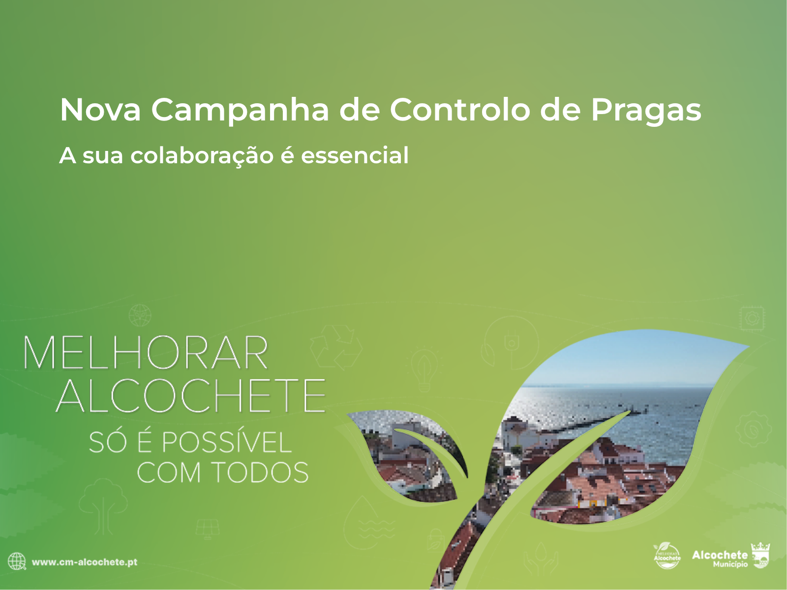 Município inicia nova campanha de controlo de pragas 