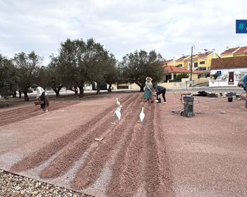 Recuperação de imagens na rotunda de São Francisco 