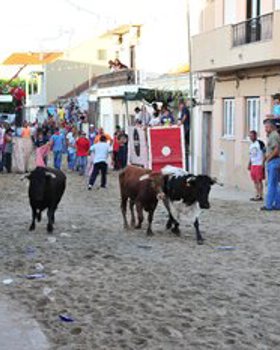 Festas Populares de Samouco
