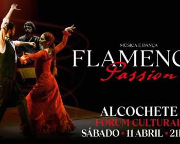 Flamenco Passion 