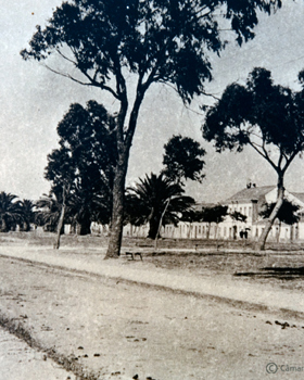 Jardim do Rossio, 2ª metade do século XX