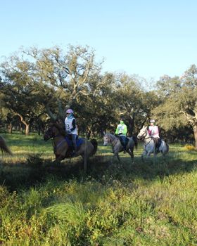 Eventos Equestres em Rio Frio