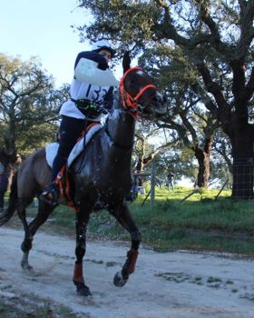 Eventos Equestres em Rio Frio