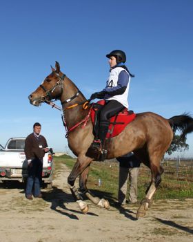 Eventos Equestres em Rio Frio