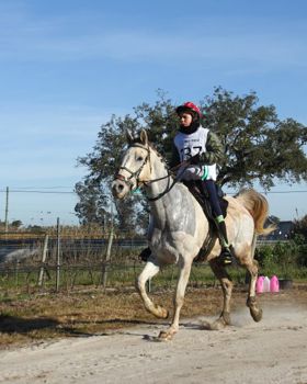 Eventos Equestres em Rio Frio
