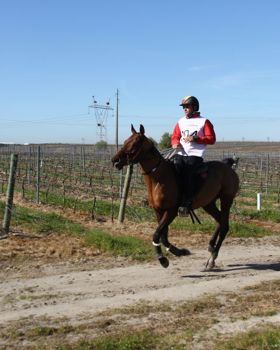 Eventos Equestres em Rio Frio