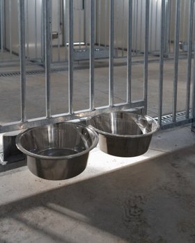 CROAA- Centro de Recolha Oficial de Animais de Alcochete