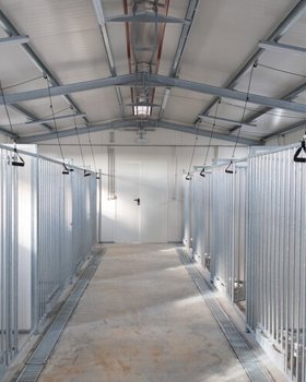 CROAA- Centro de Recolha Oficial de Animais de Alcochete