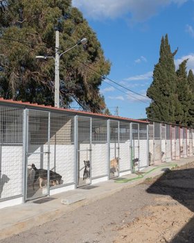 CROAA- Centro de Recolha Oficial de Animais de Alcochete
