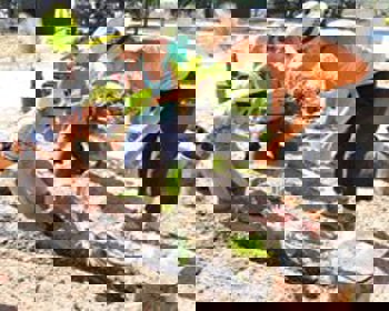 Jardineiros franceses criam “horta nómada” em Alcochete