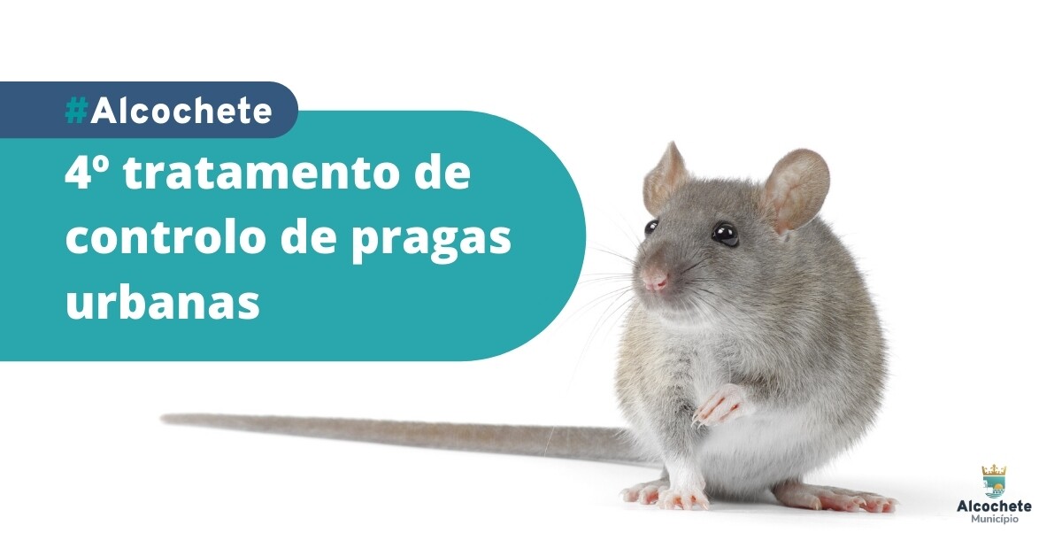 4º tratamento de controlo de pragas urbanas
