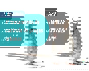 4º tratamento de controlo de pragas urbanas