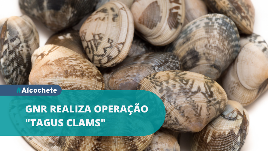 Mariscadores: GNR realiza Operação “TAGUS CLAMS”