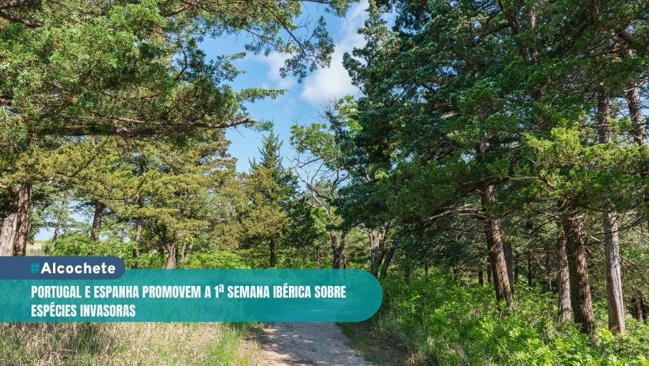 Portugal e Espanha promovem a 1ª Semana Ibérica sobre Espécies Invasoras