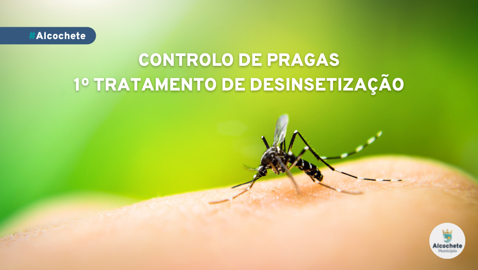 Controlo de pragas - 1º tratamento de desinsetização