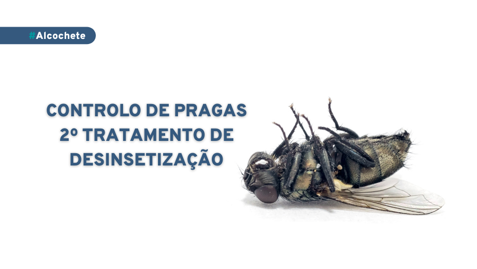 Controlo de pragas - 2º tratamento de desinsetização