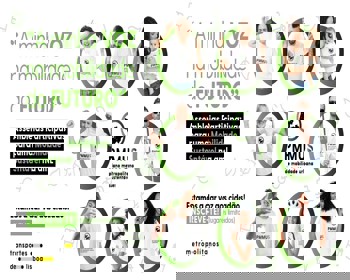 AML – Assembleias Participativas