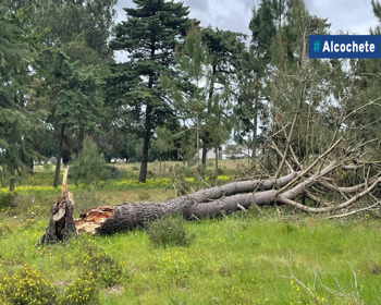 Pinhal das Areias encerrado por motivos de segurança