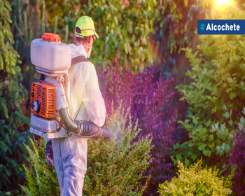 Tratamento de desinsetização no Município