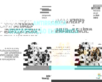 Campanha de vacinação antirrábica continua em setembro