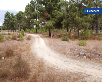 Pinhal das Areias reabriu