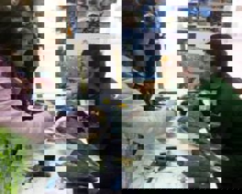 Autarquia promove Biodiversidade e 500 Anos do Foral na BTL