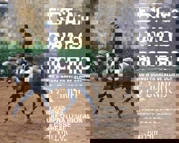 500 anos do Foral de Alcochete na Festa do Cavalo de Rio Frio