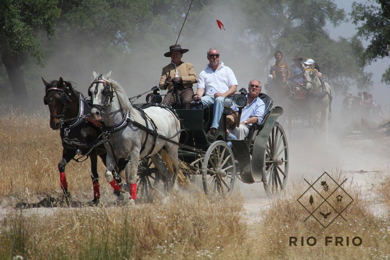 Cavaleiros de Rio Frio sagram-se vencedores nas III Jornadas do CRD