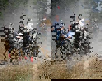 Cavaleiros de Rio Frio sagram-se vencedores nas III Jornadas do CRD