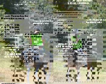 Rio Frio organiza Internacional de Endurance